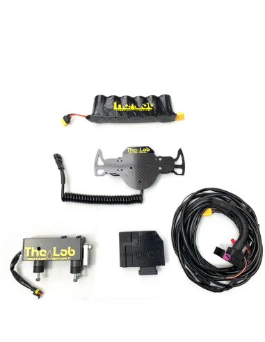 THE LAB FAST